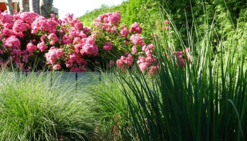 Ferienwohnung Schwendemann - Photo 2
