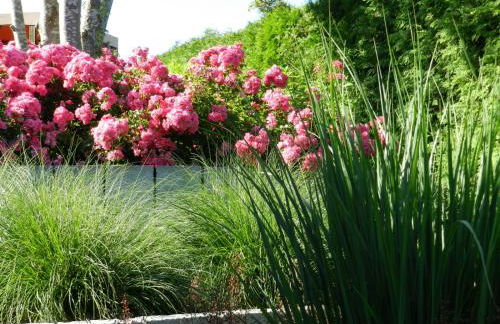 Ferienwohnung Schwendemann - Foto 2