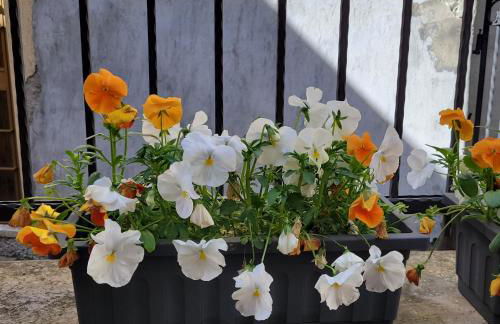 Mountain and Iseo Lake Mountain Lake Iseo Hospitality - Photo 21