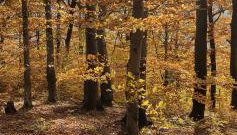 A&S Apartaments - RELAX - Foto 2