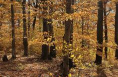 A&S Apartaments - RELAX - Foto 2