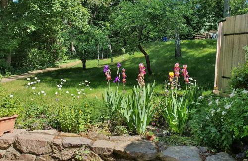 Grüne Wohlfühloase in einer Stadtvilla - Foto 22