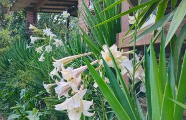 Chalé alpino em canela rs todo mobiliado com cozinha lareira split Wi-Fi 2 quartos perto do centro - Foto 34