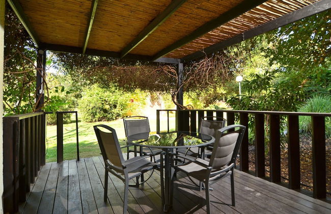 Nofey Habashan - Foto 33