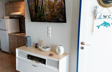 Mpitzarakis Studio On the Beach - Foto 12