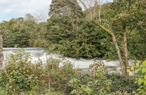 Watch Tree Apartment - Foto 24