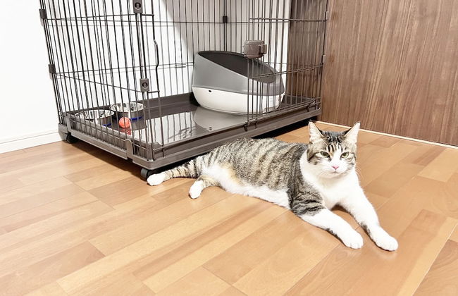 Coral Gate In Kume - Foto 21