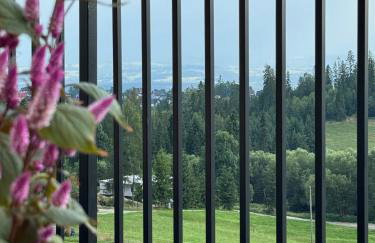 Domek DE-Luxe BUFLAK - Foto 12