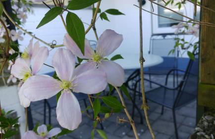Ferienwohnung Kleine Auszeit Nr 1 - Foto 4