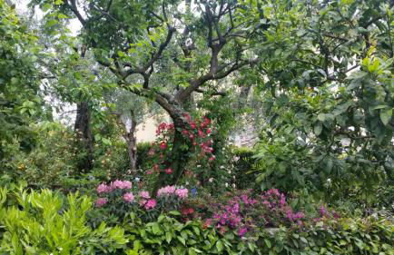 Residenza Buggiano Antica B&B - Charme Apartment in Tuscany - Foto 70