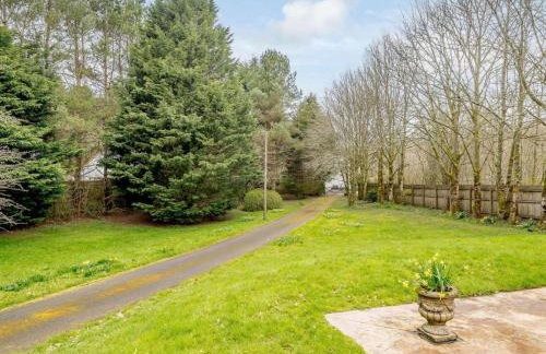 1 Bed in Ebbw Vale oc-58304 - Photo 24