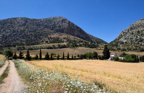 Cortijo Los Alazores, authentic cortijo with private pool - Foto 24