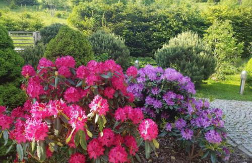 Holiday Home in den Bergen- Villa mit Panoramaterrasse by Interhome - Foto 22