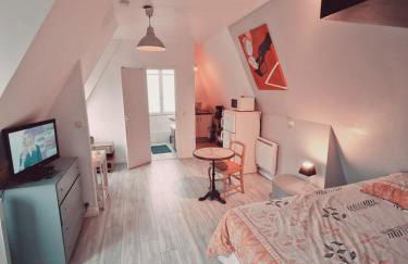 Location saisonnière, meublée, appartement type studio à Sèvres - Foto 1