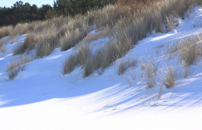 Doppelhaushalfte Dunenhaus I, Trassenheide - Foto 62