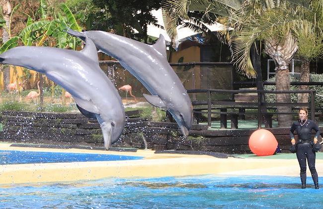 Sky Sea Holidays Puerto Marina - Foto 55