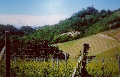 Teresa al Belvedere Rooms&HolidayApartments Camere&Appartamenti - Foto 49