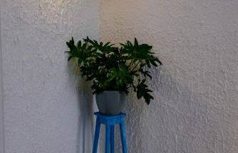 Villa Saline - Foto 41