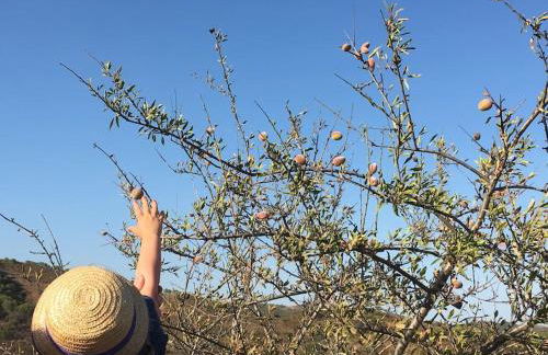 Casadasfurnazinhas - Foto 60