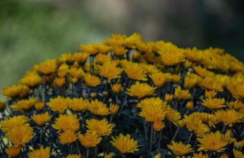 Beachfront Romantica Place Ground floor - Foto 26