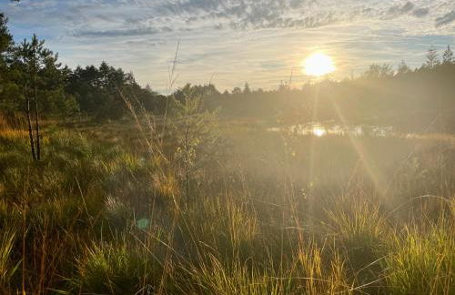 Ferienwohnung Lula - Foto 36