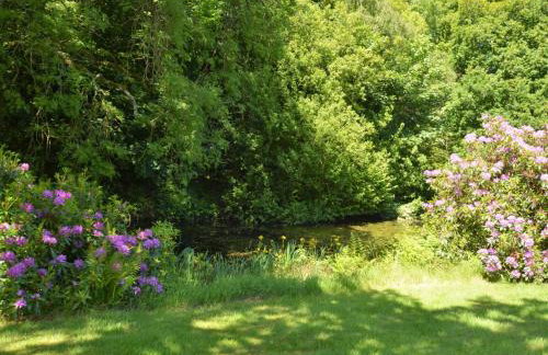 1 Bed in Bridport oc-41890 - Foto 13