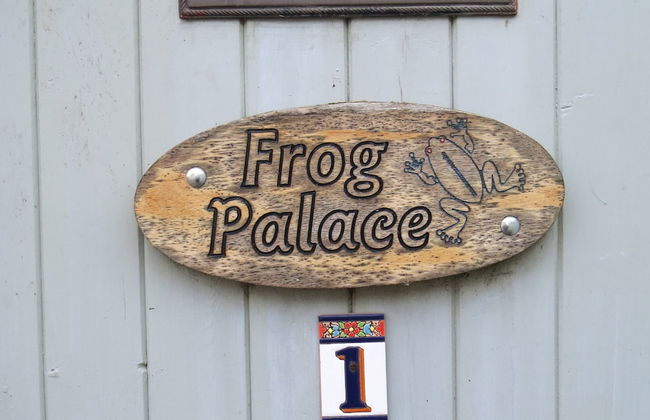 Frog Palace - Photo 33