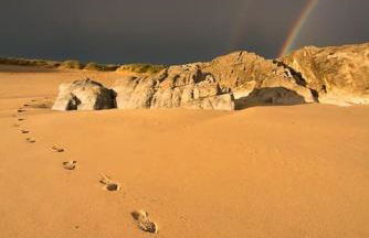 Maison au calme à l'intérieur du golf de Ploëmel, entre terre et mer, 2 chambres, 10 min des plages - Foto 34