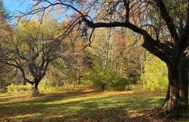 The Disco Den on Toad Road - Photo 18