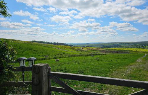 Petty Knowes Cottage - Foto 36