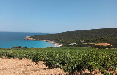 Villa i tre pini - Porto Pino - Foto 32