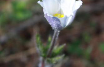 les Gites de l’E.D.E. - Photo 29