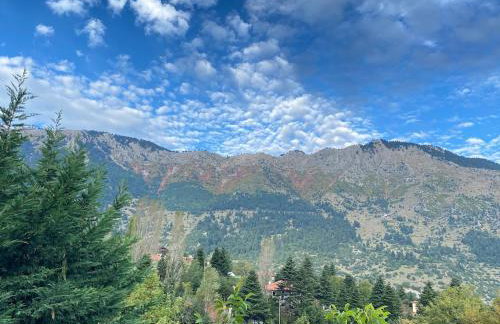 Pinecone Lodge, Eptalofos Wellness Garden Chalet - Foto 74