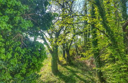 TESSERA Tsagarada Villa with a Private Pool - Foto 47