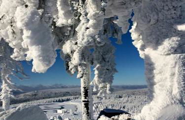 Ferienhaus Thale - Foto 46