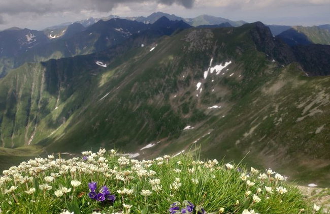 PRIVATE, DIFFICULT Day Hike in Carpathian Mountains - Photo 12