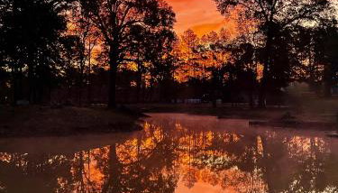 Ol’ Mel’s Farm - Photo 5