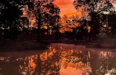 Ol’ Mel’s Farm - Foto 5