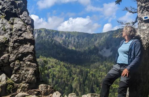 Gîte de la vallée, En Pleine Forêt - Foto 20