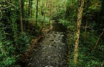 Casa Calma Rural - Foto 53