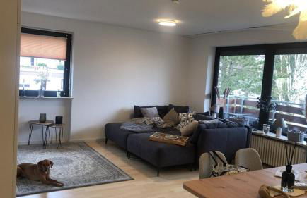 bergwärts - Foto 35