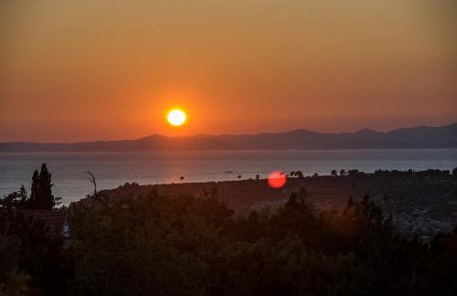 Holiday House DM - Foto 50