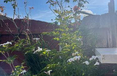 Fylde Coast Stays - Home from Home - Foto 4