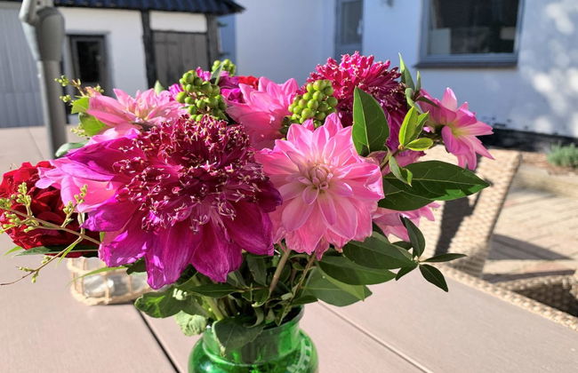 "Dana" - 525m from the sea - Foto 12