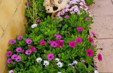 Casa adosada con vistas al mar y con piscina - Photo 25