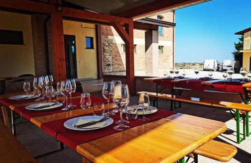 Cantina Visconti - Agriturismo - Photo 11