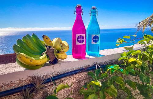 Indigo Star House - Photo 41