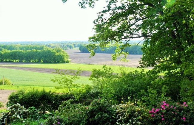 Willi Ohler Haus - Foto 22