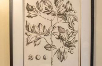 Danes Cottage - Luxury Peak District Retreat - Photo 68