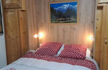 A4 km de Megève très joli studio avec jacuzzi ,vue sur les montagnes au calme - Foto 4